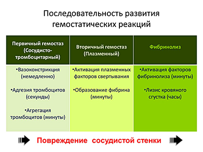 Последовательность развития гемостатических реакций