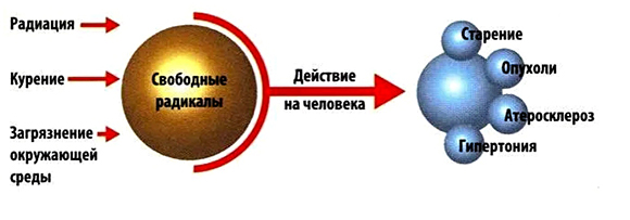 Влияние свободных радикалов на организм