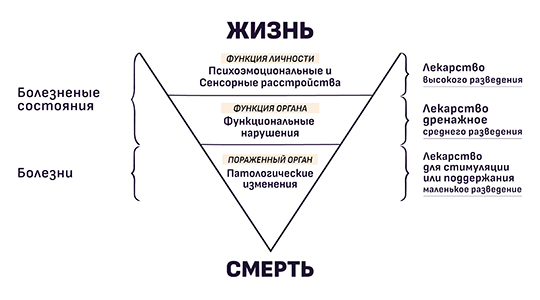 Л. Ванье. Суть гомеопатического метода